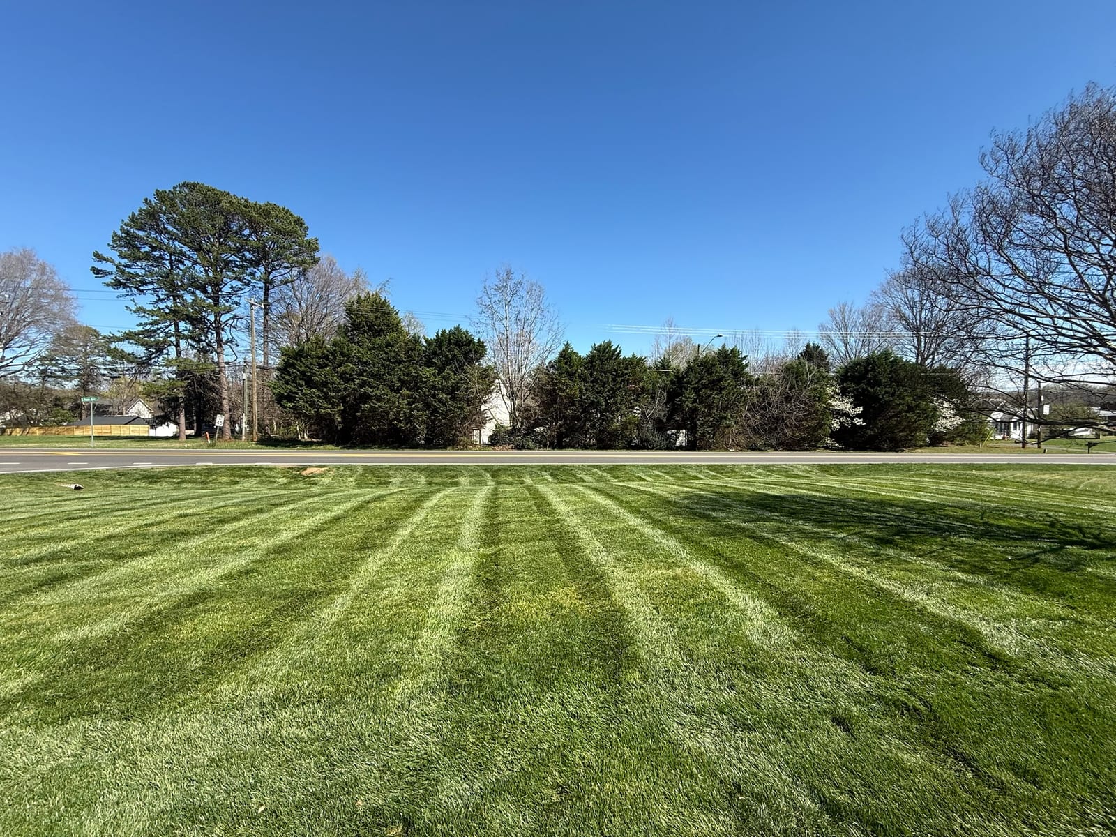 A freshly mowed, healthy green lawn with a crisp stripe pattern