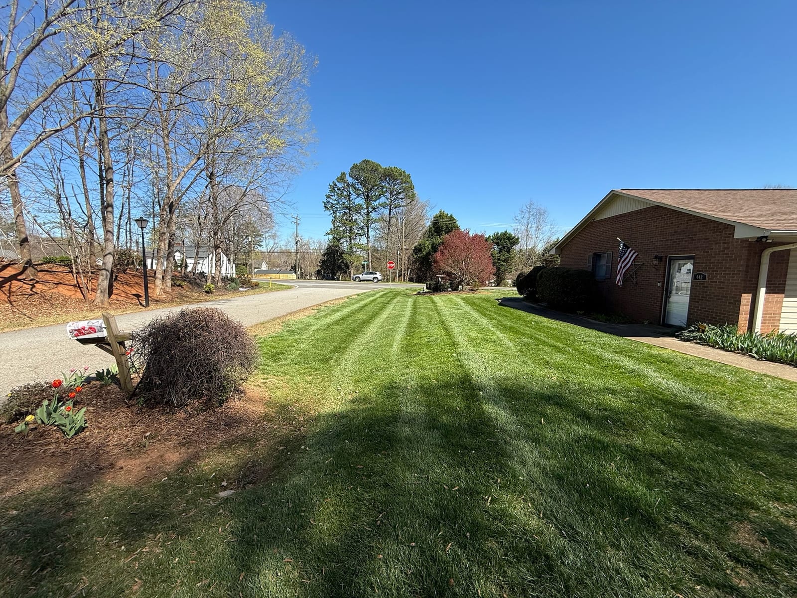 A residential front-yard lawn