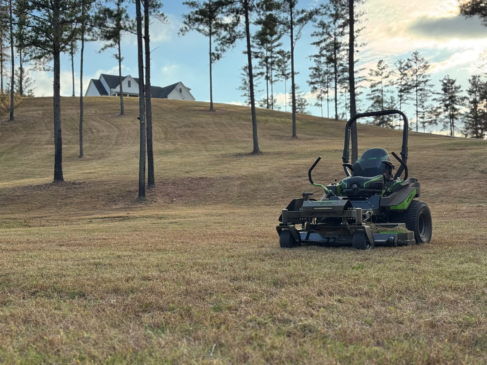 A maintained lawn on a residential property